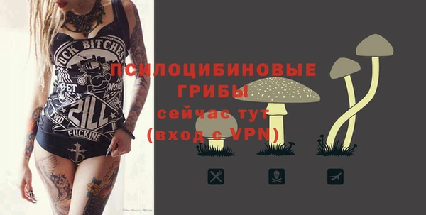 кокс Осташков