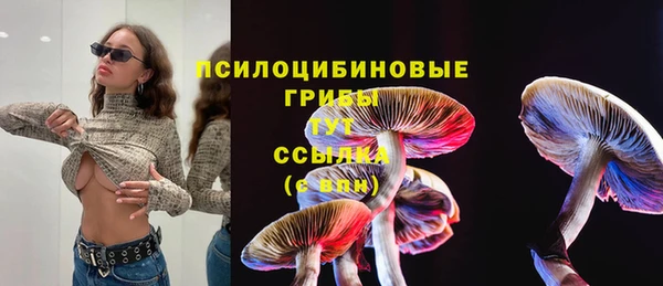 СК Алексеевка